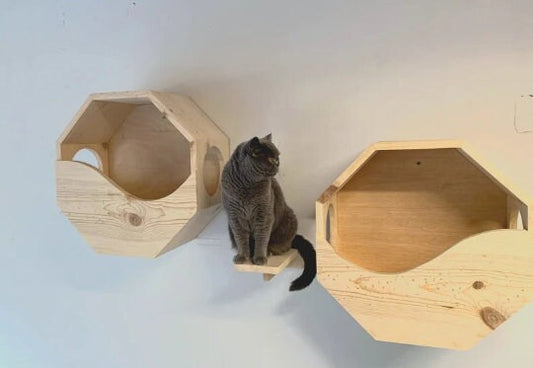 SET of 2: Eco-Friendly Cat Wall house and Cat step. Eco Cat furniture, Cat shelves, Cat ladder